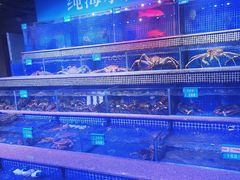 -青蓬蒸汽海鲜·深圳老字号·团建聚会(壹方城店)
