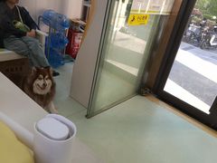 -瑞鹏宠物医院·宠保定点·心脏科·内科(御桥分院)