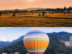 -长沙黑麋峰国家森林公园