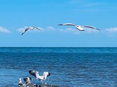 -青海湖国家重点风景名胜区