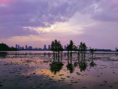 -世纪缘湖滨花园酒店·湖景轩中餐厅(太阳宫店)