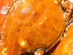 -北塘海鲜·天津菜(大光明桥旗舰店)