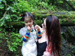 -峡谷浮石林景区