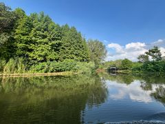 -溱湖国家湿地公园