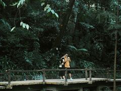 -广州兰圃