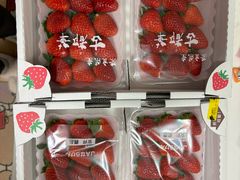 -南纪白浜Toretore市场