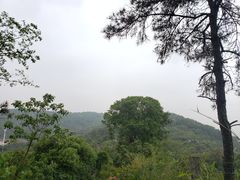 -宝界山林公园