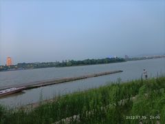 -灞河西岸滨河公园