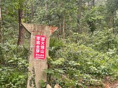 -青龙山国家森林公园