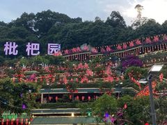 -枇杷园食为鲜火锅(南山店)