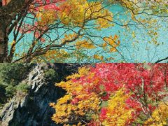 -叠溪松坪沟景区