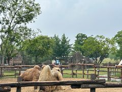 -祥源·阜阳生态乐园