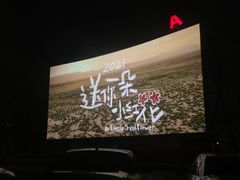 -枫花园汽车电影院(朝阳公园店)