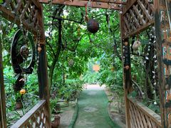 -呀路古热带植物园