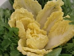 -草原传奇鲜羊火锅(桥北店)