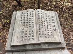 -茅兰沟国家森林公园