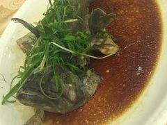 -琼菜王(南海店)