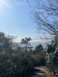 -Dr.林醫生产后修复·配方产康(南京江宁万达店)