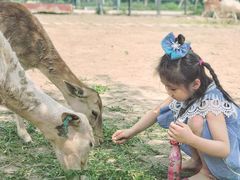 -北京麋鹿生态实验中心