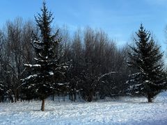 -北极村旅游风景区