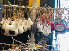 -猫咪博物馆(顶澳仔猫街店)