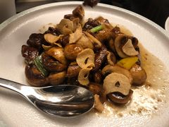 -浙江安吉JW万豪酒店·万豪中餐厅