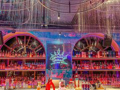 -Darling Queen·Mini·Live·House