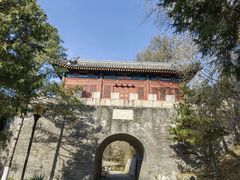 -云岗森林公园