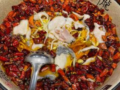 沸腾鱼片-金枝玉叶上海人家食府(三里河店)