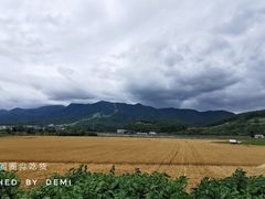 -富田农场