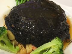 -龙泉海鲜酒楼(龙昆南路店)