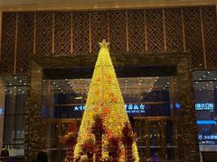 -长沙富力万达文华酒店