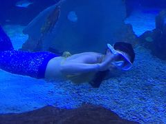 -多彩贵州城极地海洋世界