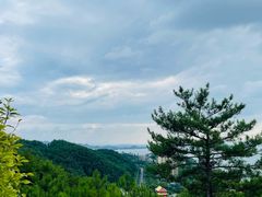 -千岛湖天屿景区