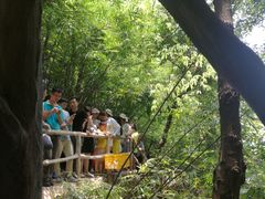 -牛鱼嘴原始生态风景区