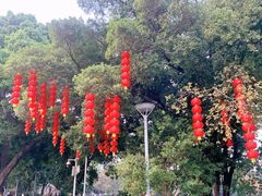 -荔湾湖公园