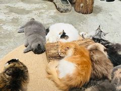 -南越王博物院(王宫展区)