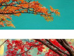 -叠溪松坪沟景区