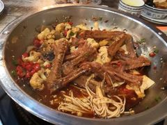 -新时代杨大师鸭爪爪