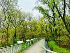 -西湖风景区-江洋畈生态公园