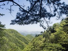 -塔云山