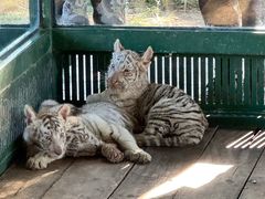 -秦皇岛野生动物园