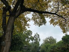 -成都武侯祠博物馆