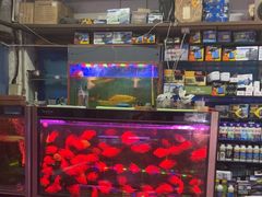 -双季花艺园艺市场(浦东店)
