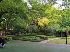 -徐家汇源景区-衡山公园
