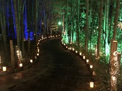 -天目湖御水温泉·度假酒店