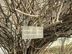 -北京鲁迅博物馆(北京新文化运动纪念馆鲁博馆区)