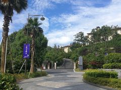 坡道-宁波九龙湖开元度假村