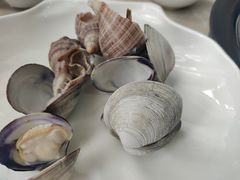 -海大大蒸汽海鲜餐厅·粤菜·特色小炒(欢乐颂店)