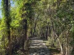 -盘龙城国家考古遗址公园